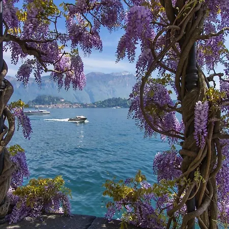 Garibaldi View Daire